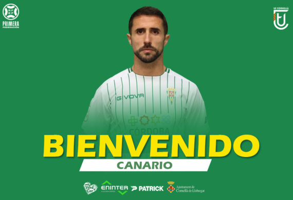 BIENVENIDO, CANARIO