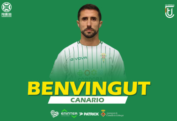 BENVINGUT, CANARIO