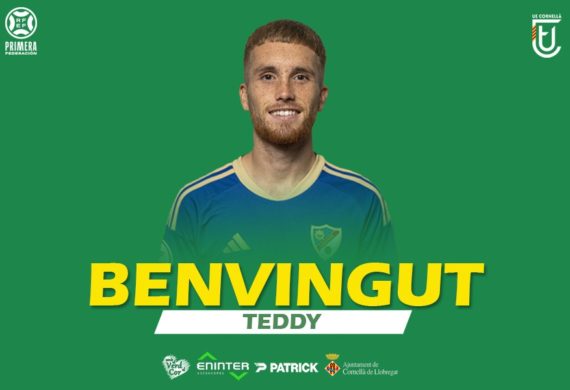 BENVINGUT, TEDDY