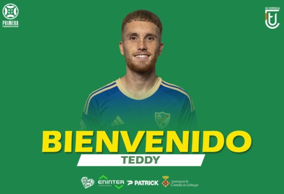 BIENVENIDO, TEDDY